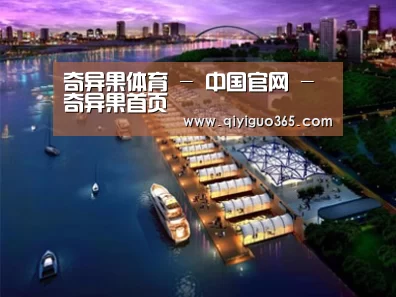 案例展示八