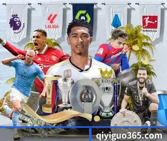 奇异果体育平台 APP