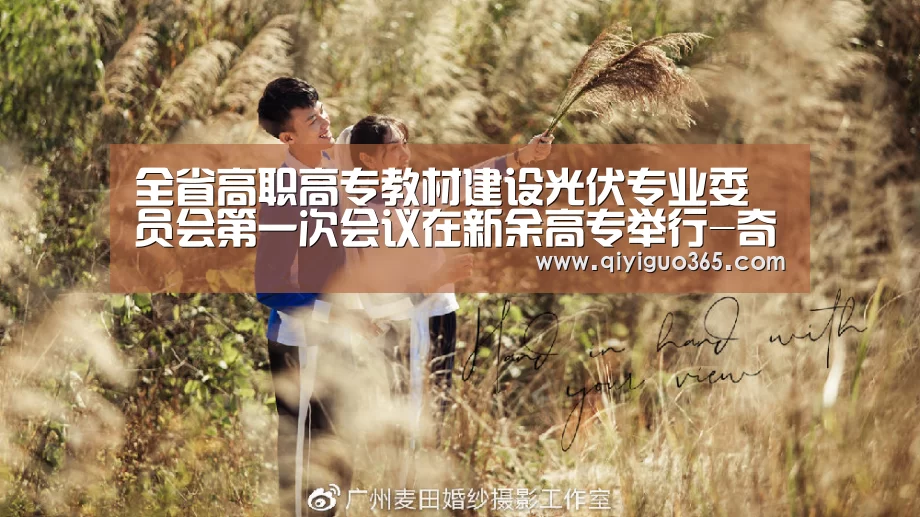 全省高职高专教材建设光伏专业委员会第一次会议在新余高专举行-奇异果体育平台(图3) 奇异果体育平台
