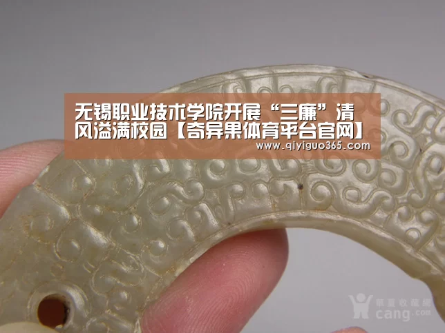 无锡职业技术学院开展“三廉”清风溢满校园【奇异果体育平台官网】
